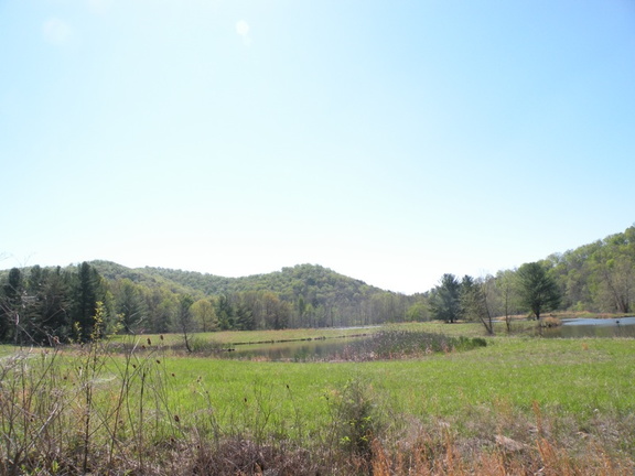 Lakeview Trail